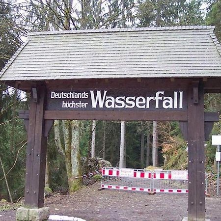 2 Rooms Apartment In Triberg Triberg im Schwarzwald Eksteriør billede