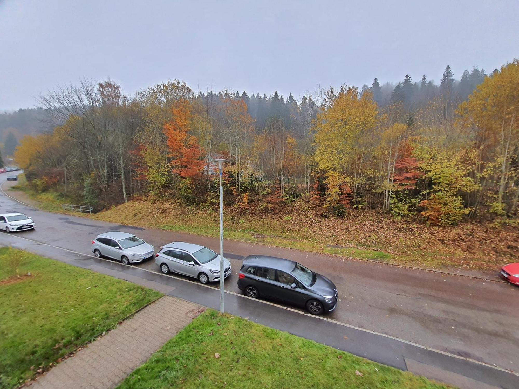 2 Rooms Apartment In Triberg Triberg im Schwarzwald Eksteriør billede